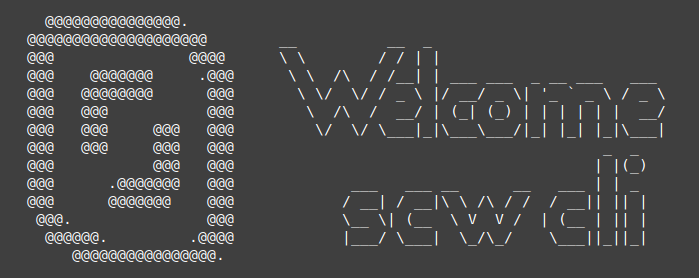 Scaleway CLI scw init splash screen